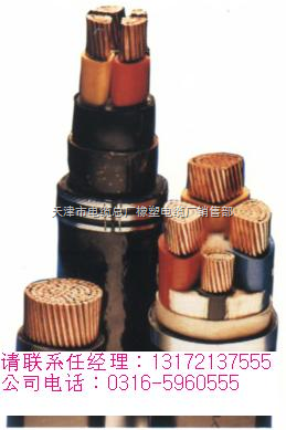 MVV电缆5*1.5 MVV矿用电缆5*2.5-天津市电缆总厂橡塑电缆厂销售部