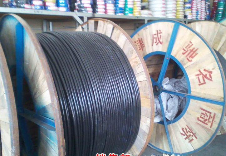 洛阳市西工区津成电线电缆销售中心提供的95/20导线